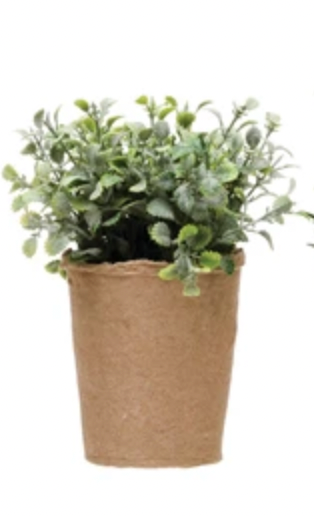 Faux Herb in Paper Pot Thyme